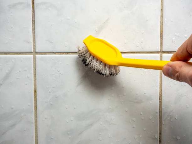Best Mold Remediation  in Ina, IL