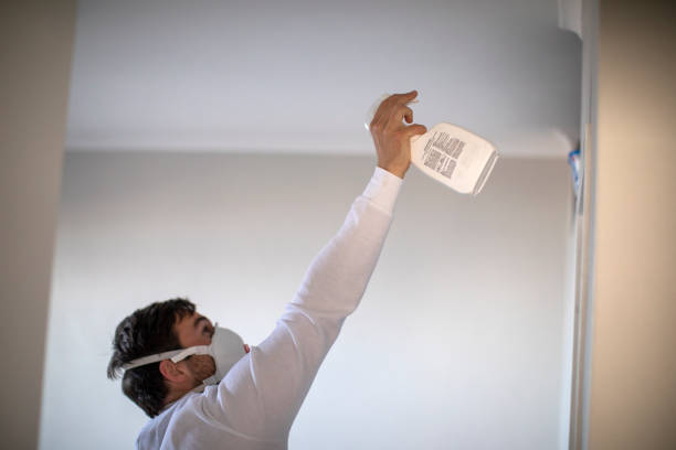 Best Attic Mold Removal  in Ina, IL
